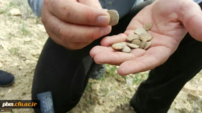 در راستای درس چینه شناسی رشته علوم تجربی انجام شد :