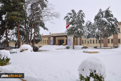 یک روز برفی
در پردیس شهید بهشتی مشهد