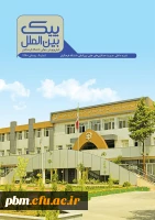 پیک بین الملل