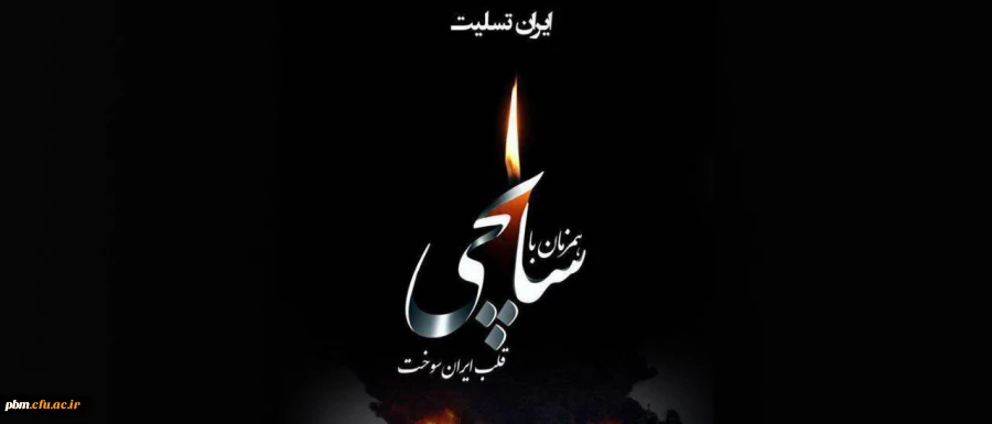 در گذشت هموطنان عزیزمان  را در حادثه نفتکش سانچی را  به خانواده های داغدار و ملت ایران تسلیت عرض می نماییم.