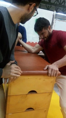 رشته مچ اندازی