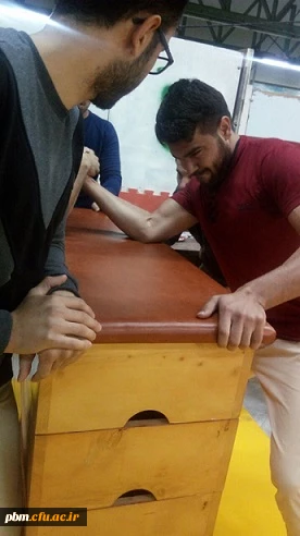 رشته مچ اندازی