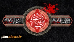 سالگرد شهادت حضرت رقیه (س) را تسلیت می گوییم.