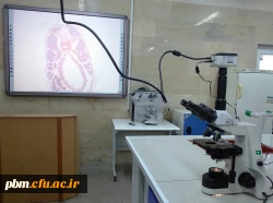 میکروسکوپ سه چشمی