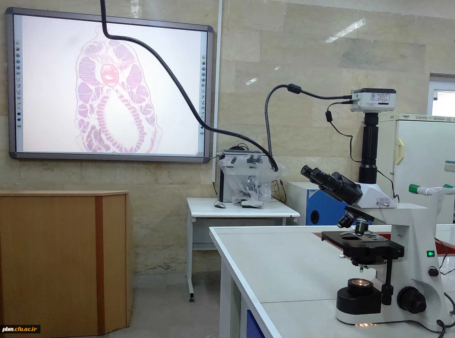 میکروسکوپ سه چشمی