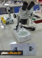 استریومیکروسکوپ