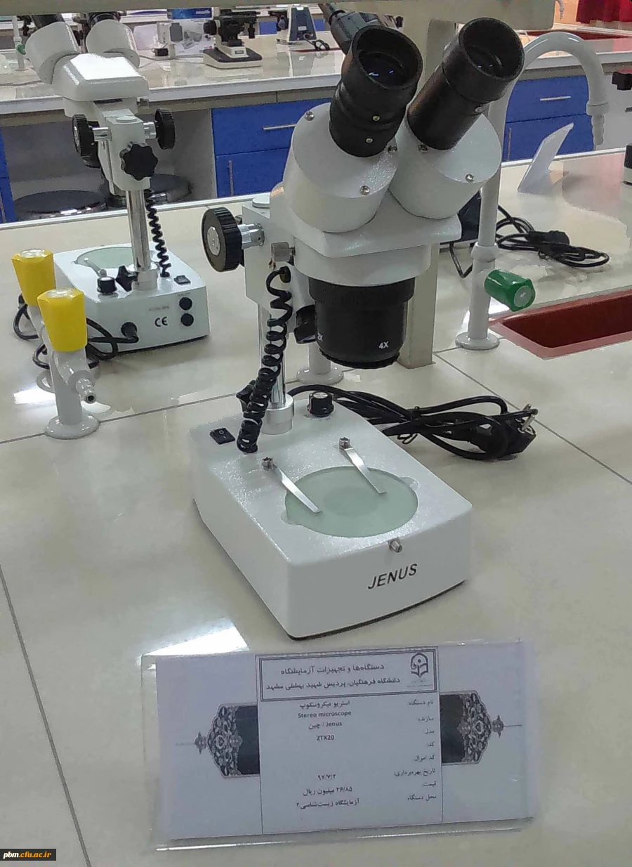 استریومیکروسکوپ