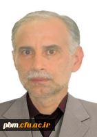 مجید فولادی