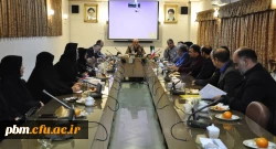 نشست هم اندیشی مدیران اجرایی طرح گام های عاشقی