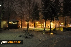 عکس: سیدرضا دیانت مقدم