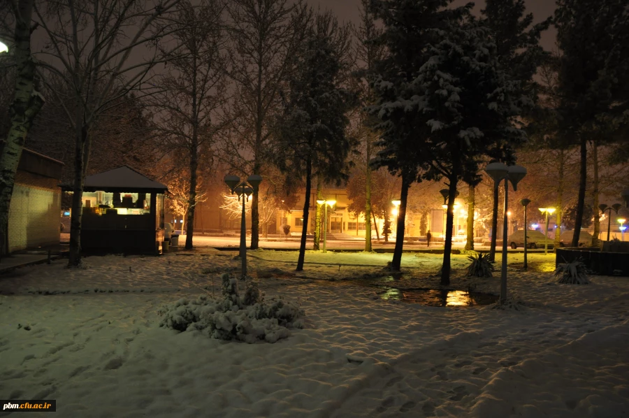 عکس: سیدرضا دیانت مقدم