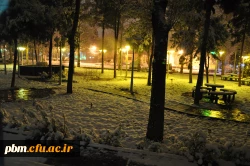 عکس: سیدرضا دیانت مقدم