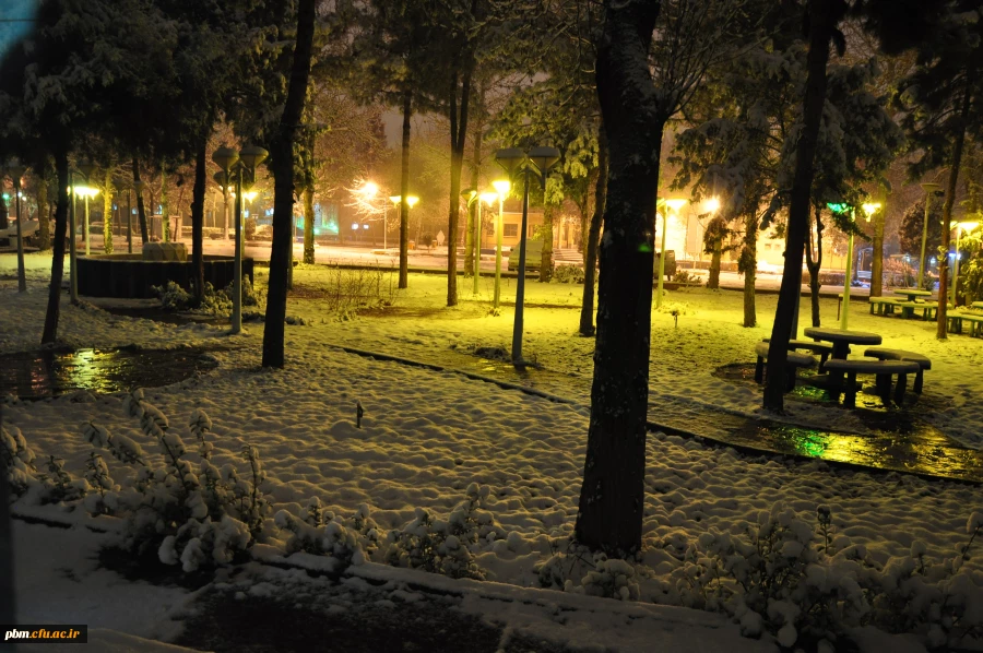 عکس: سیدرضا دیانت مقدم