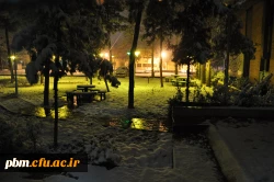 عکس: سیدرضا دیانت مقدم