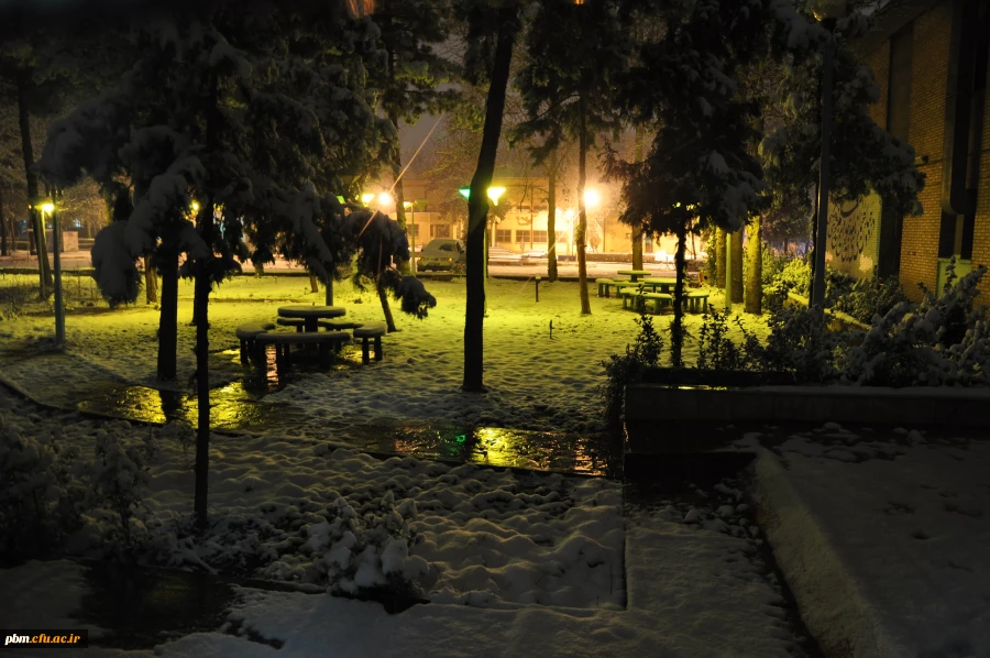 عکس: سیدرضا دیانت مقدم