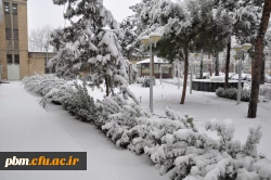 عکس: سیدرضا دیانت مقدم