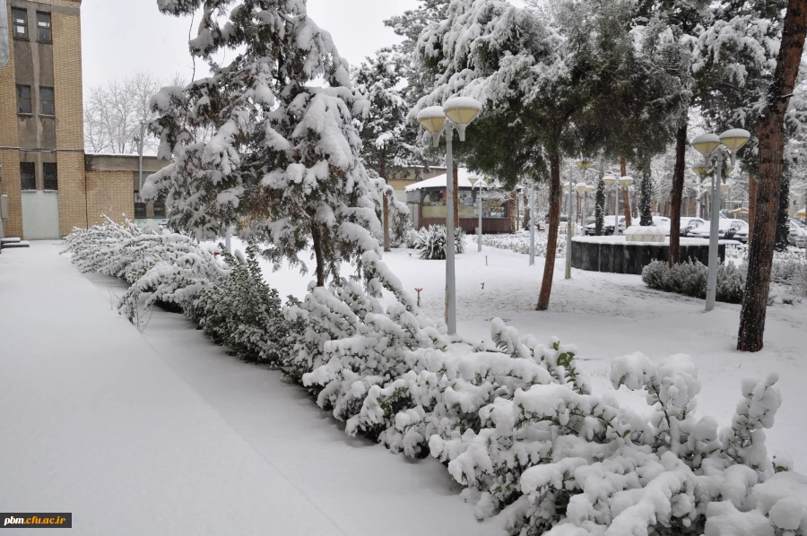 عکس: سیدرضا دیانت مقدم