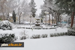 عکس: سیدرضا دیانت مقدم