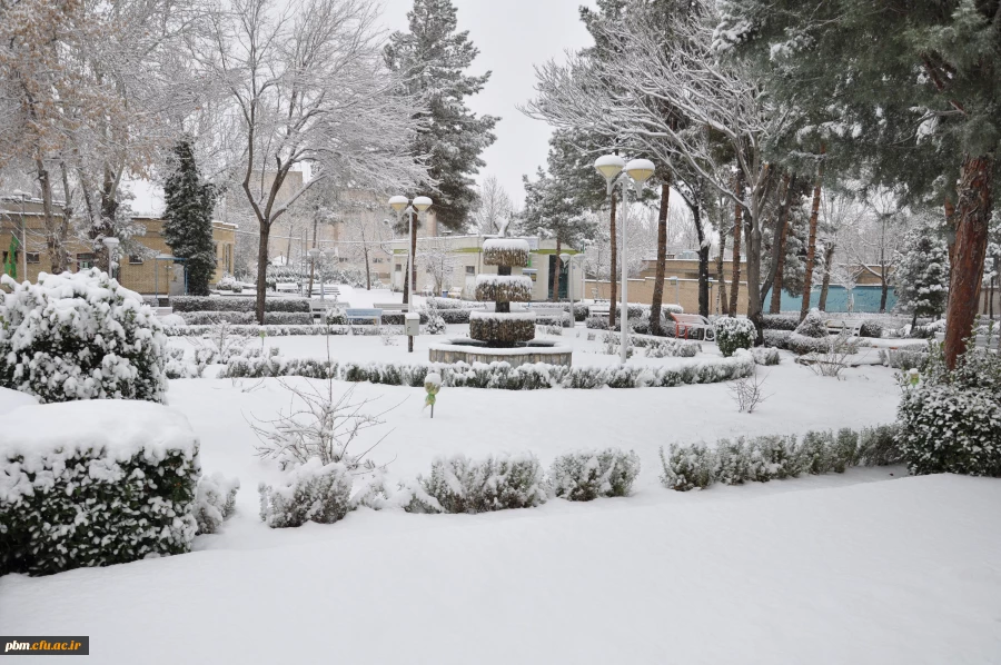 عکس: سیدرضا دیانت مقدم