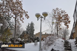 عکس: سیدرضا دیانت مقدم