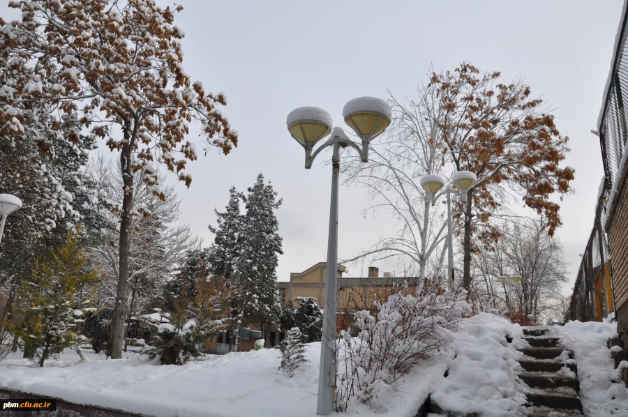 عکس: سیدرضا دیانت مقدم