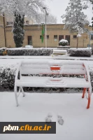 عکس: سیدرضا دیانت مقدم