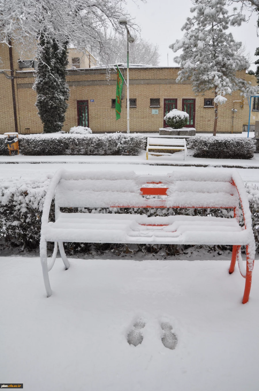 عکس: سیدرضا دیانت مقدم