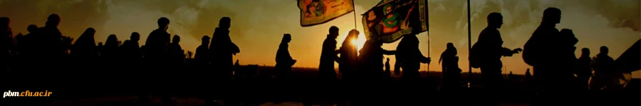 پویش اربعین حسینی (ع)