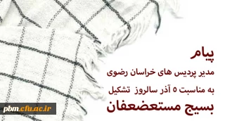همزمان با سالروز تشکیل بسیج مستضعفین صادر شد:

پیام مدیر امور پردیس های خراسان رضوی به مناسبت روز بسیج