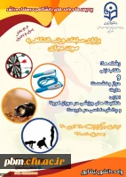 برگزاری جشنواره مسابقات مجازی ورزشی دانشجویی به مناسبت دهه مبارک فجر انقلاب اسلامی