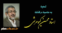 یپام تسلیت به مناسبت درگذشت استاد محسن کیومرثی