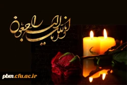 عرض تسلیت محضر جناب آقای دکتر وزیری 2