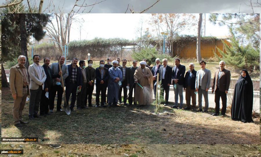 برگزاری آئین پویش درختکاری در پردیس شهید بهشتی مشهد