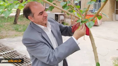 به مناسبت هفته معلم انجام شد:

نامگذاری درختان پردیس شهید بهشتی به یاد شهدای تربیت معلم و همکاران درگذشته دانشگاه فرهنگیان خراسان رضوی