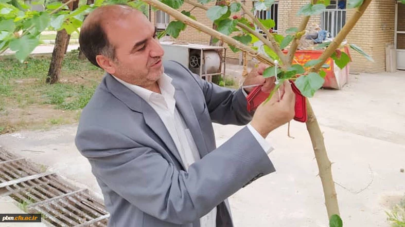 نامگذاری درختان پردیس شهید بهشتی به یاد شهدای تربیت معلم و همکاران درگذشته دانشگاه فرهنگیان خراسان رضوی