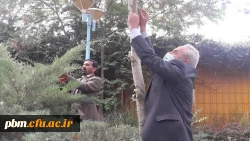 نامگذاری درختان پردیس شهید بهشتی به یاد شهدای تربیت معلم و همکاران درگذشته دانشگاه فرهنگیان خراسان رضوی