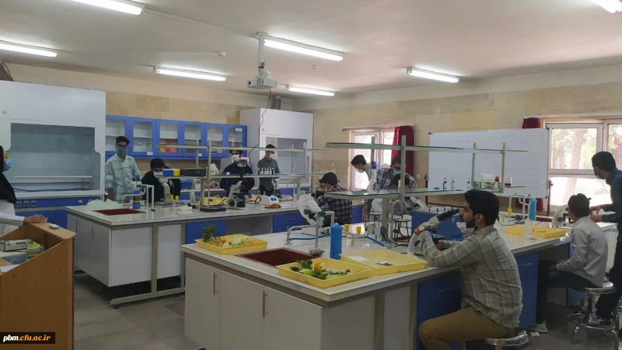 گزارش تصویری از کلاس های آموزشی عملی، آزمایشگاهی و کارگاهی پردیس شهید بهشتی
