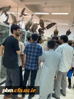 بازدید از موزه جانورشناسی