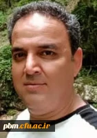 علی اصغر نجفی (کارشناس)