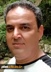 علی اصغر نجفی (کارشناس)