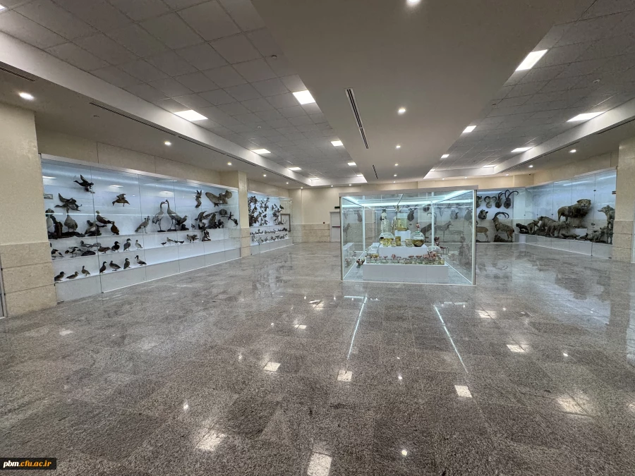  دانشگاه فرهنگیان شهید بهشتی مشهد با افتخار مجموعه ای بی نظیر از نمونه های طبیعی و جانوری کاملا ایرانی را در فضایی تخصصی و آموزشی به نمایش می گذارد این موزه فرصتی ارزشمند برای آشنایی عمیق تر با تنوع زیستی کشور و حفاظت از میرااث طبیعی ایران فراهم میکند