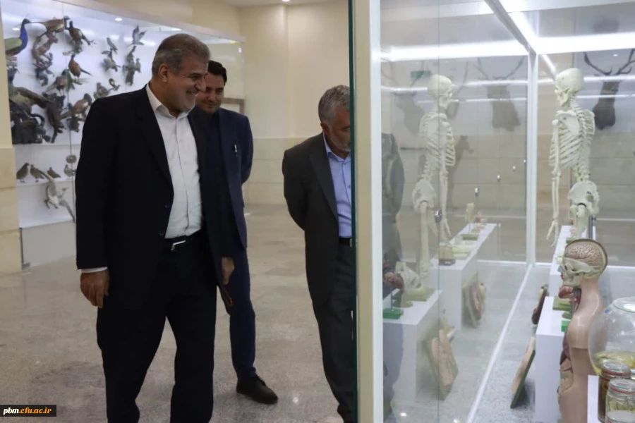 به گزارش روابط عمومی دانشگاه فرهنگیان استان، عبدالرضا فولادوند معاون وزیر و رئیس سازمان نهضت سوادآموزی کشور به همراه مصطفی اسدی مدیرکل آموزش و پرورش استان خراسان رضوی، حبیب اله تقی پور رئیس دانشگاه فرهنگیان استان و جمعی از مسئولان استانی و پردیس شهید بهشت