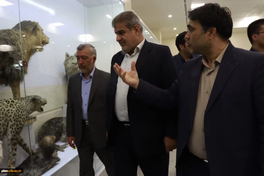 به گزارش روابط عمومی دانشگاه فرهنگیان استان، عبدالرضا فولادوند معاون وزیر و رئیس سازمان نهضت سوادآموزی کشور به همراه مصطفی اسدی مدیرکل آموزش و پرورش استان خراسان رضوی، حبیب اله تقی پور رئیس دانشگاه فرهنگیان استان و جمعی از مسئولان استانی و پردیس شهید بهشت