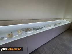 موزه سنگ دانشگاه فرهنگیان شهید بهشتی، مجموعه ای ارزشمند و منحصربه فرد از نمونه های سنگ های آذرین، رسوبی، کانی ها و فسیل های طبیعی را در فضای بسیار صمیمی و کوچک خود گردآوری کرده است. این موزه فرصتی بی نظیر برای دانشجویان، اساتید و علاقه مندان به زمین شناسی