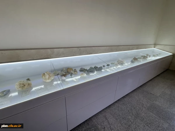 موزه سنگ دانشگاه فرهنگیان شهید بهشتی، مجموعه ای ارزشمند و منحصربه فرد از نمونه های سنگ های آذرین، رسوبی، کانی ها و فسیل های طبیعی را در فضای بسیار صمیمی و کوچک خود گردآوری کرده است. این موزه فرصتی بی نظیر برای دانشجویان، اساتید و علاقه مندان به زمین شناسی