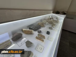 موزه سنگ دانشگاه فرهنگیان شهید بهشتی، مجموعه ای ارزشمند و منحصربه فرد از نمونه های سنگ های آذرین، رسوبی، کانی ها و فسیل های طبیعی را در فضای بسیار صمیمی و کوچک خود گردآوری کرده است. این موزه فرصتی بی نظیر برای دانشجویان، اساتید و علاقه مندان به زمین شناسی