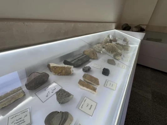 موزه سنگ دانشگاه فرهنگیان شهید بهشتی، مجموعه ای ارزشمند و منحصربه فرد از نمونه های سنگ های آذرین، رسوبی، کانی ها و فسیل های طبیعی را در فضای بسیار صمیمی و کوچک خود گردآوری کرده است. این موزه فرصتی بی نظیر برای دانشجویان، اساتید و علاقه مندان به زمین شناسی