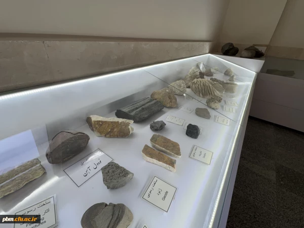 موزه سنگ دانشگاه فرهنگیان شهید بهشتی، مجموعه ای ارزشمند و منحصربه فرد از نمونه های سنگ های آذرین، رسوبی، کانی ها و فسیل های طبیعی را در فضای بسیار صمیمی و کوچک خود گردآوری کرده است. این موزه فرصتی بی نظیر برای دانشجویان، اساتید و علاقه مندان به زمین شناسی