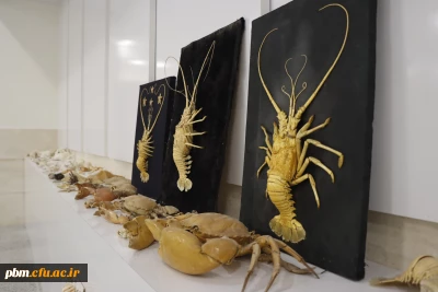 موزه جانور شناسی

