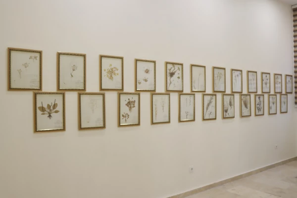 گیا شناسی دانشگاه فرهنگیان شهید بهشتی  2